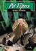 Pit Vipers (Snakes Discovery Library)