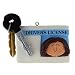 Ornament Central Brunette License