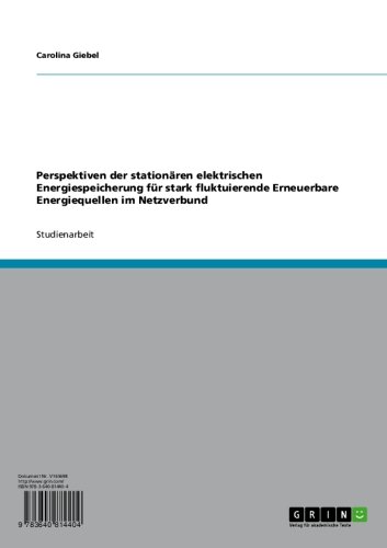 Perspektiven der stationären elektrischen Energiespeicherung für stark fluktuierende Erneuerbare Energiequellen im Netzverbund: Eine technisch-wirtschaftliche Untersuchung (German Edition)