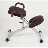 Orthopedic Chair - Back Relief (Black/Aluminum) (21-28
