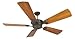 Craftmade-Ag - Aged Bronze Ceiling Fan-K10992