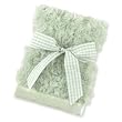 Bearington Baby Froggy Series: Small Plush Green 16" Square Swirly Blankie - Infants & Baby