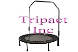 Seen as TV 40 in Rebounder Trampoline Foldable Bar w/Bar with Bag