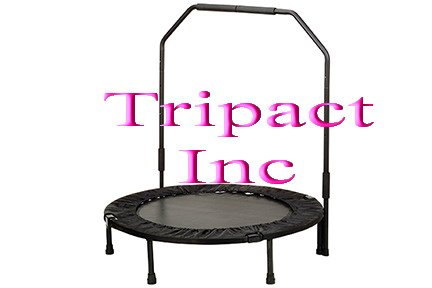 Seen as TV 40 in Rebounder Trampoline Foldable Bar w/Bar with Bag