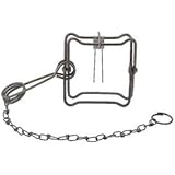 1/2 Dozen (6 PAK) Duke 110 Single Spring Body Trap for Mink, Muskrat, and Weasel