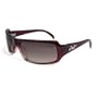 Black Flys Flyjacker Sunglasses- Tort Frame/Glass Bronze Polarized Lens