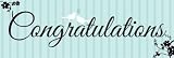 Creative Converting Two Love Birds Giant Congratulations Party Banner, 20 X 60 Inches Creative Converting Two Love Birds Giant Congratulations Party Banner, 20 X 60 Inches