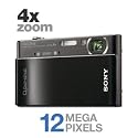 Sony Cyber-shot DSC-T900 12.1 MP Digital Camera with 4x Optical Zoom and Super Steady Shot Image Stabilization (Black)
