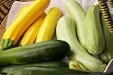 Zucchini Tricolor Jade Gold and Emerald Seeds 20 Seeds
