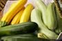 Zucchini Tricolor Jade Gold and Emerald Seeds 20 Seeds