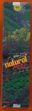 Natural Brand From Satya - 45 Gram Box - Satya Sai Baba Incense