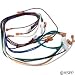 Hayward IDXL2WHM1930 240-Volt Main Wire Harness Replacement for Hayward H-Series Low Nox Induced Dra
