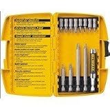 DeWalt DW2160 13 Bit Tip Assortment with Bit Tip Driver