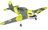P40 Warhawk ARF Balsa Wood Nitro Gas Remote Control RC Airplane (Color May Vary)