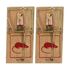 2 x Mausefallen aus Holz, Metallb�gel, es ist sehr einfach zu bedienen und sehr effektiv