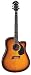 Michael Kelly Nostalgia N10CE N10CETSB Acoustic Electric Guitar