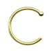 20 Gauge Solid 18KT Yellow Gold Nose Hoop - 5/16