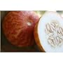 Rare Tigger Melon 10 Seeds - Heirloom - Delicious -Easy