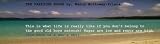 The Paradise Blogs (1)