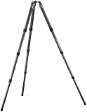 Gitzo GT5541LS Series 5 Long 6X Carbon Fiber 4-Section Systematic Tripod with G-Lcok – Replaces GT5540LS