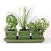 Toysmith Italian Herb Trio Green Ceramic Window Set of 3 Stoneware