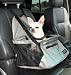 Outward Hound Pet Lookout Car Booster Seat