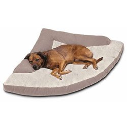 Childrens Toyshop  Pet Supplies : Caddis Extra Large Corner Bed with Bolster (44''x64''x44'')