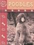 Poodles (Eye to Eye with Dogs)