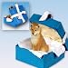 Shiba Inu Christmas Ornament Blue Box Keepsake