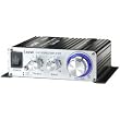 Lepai Tripath Class-T Hi-Fi Audio Mini Amplifier with Power Supply