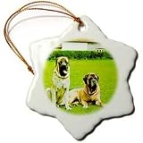 Dogs Mustiff - Mastiff - Ornaments