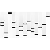 DNA Art 22" X 40" Canvas | Pearl DNA Artwork | Home / Office Décor