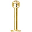 14 Gauge Gold Electro Titanium Labret Monroe -3/8"