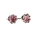 Crystal Amethyst Birthstone Stud Earrings for February