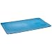 Carlisle 1027214 Blue Smart Lids One-Third Size Lid (Case of 6)