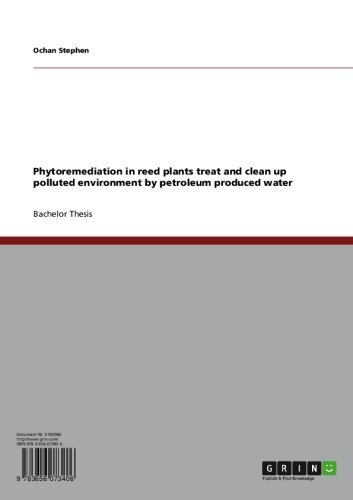 Phytoremediation in reed plants treat and clean up polluted environment by petroleum produced water