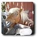 All Products : Horse - Pony - Mouse Pads