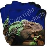 TROPICAL LIZARD Set of 4 Coasters