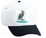 White Cap with wild, rex, life, balaeniceps, fauna, birds, genus, bird 31bkK2SBKyL. SL160 White Cap with wild, rex, life, balaeniceps, fauna, birds, genus, bird