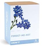 Grow-It Forget-Me-Not Kit