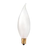 25 Pack 10 Watt Light Bulb