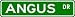 ANGUS Street Name Sign ~ Family Lastname Sign ~ Gameroom, Basement, Garage Sign