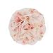 Small Prairie Flower Applique