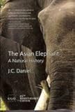 Asian elephants