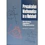 Precalculus mathematics in a nutshell: Geometry, algebra, trigonometry