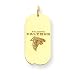 14K Atlanta Falcons Logo Small Dog Tag Charm