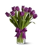 Passionate Purple Tulips
