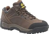 Review   / Carolina Mens Dark Brown Hiker Boot # CA9519