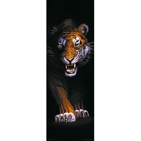 Prowling Tiger - Door Poster - 53cm x 158cm
