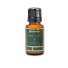 Aromatique Smell of the Tree Refresher Oil .5oz
